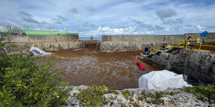 Presencia de sargazo afecta operación en planta eléctrica AES Andrés