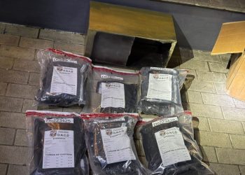 Incautan 98 paquetes de marihuana ocultos en cajas de suministros médicos