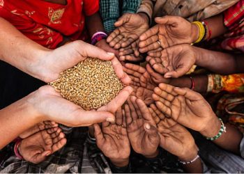 Erradicar el hambre en Latinoamérica: una meta posible que requiere voluntad política