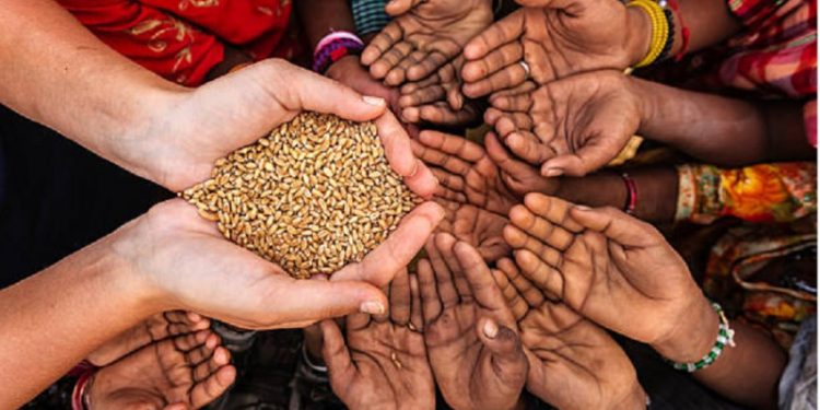 Erradicar el hambre en Latinoamérica: una meta posible que requiere voluntad política