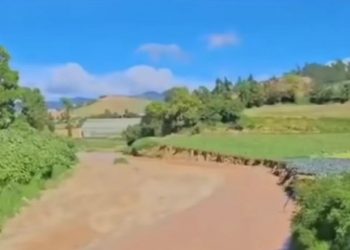 Lluvias causan daños en agricultura y viviendas en el Cibao