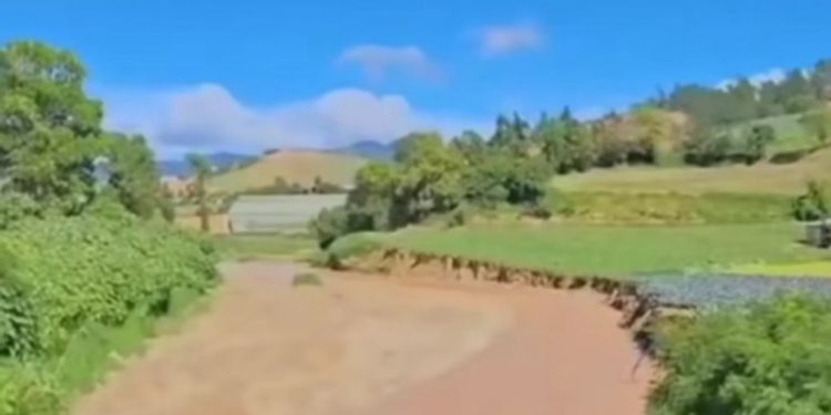 Lluvias causan daños en agricultura y viviendas en el Cibao