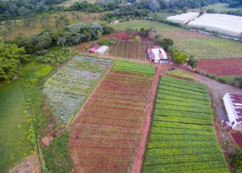 Tormenta Melissa deja beneficios en el Cibao
