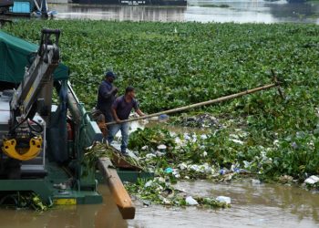 Continúan labores de limpieza en el Puente Flotante ante cúmulo de desechos tras el paso de Melissa