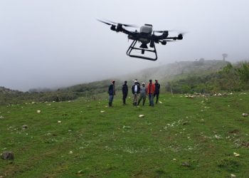 Restauración ecológica con drones: los buenos resultados del proyecto piloto implementado en el Parque Nacional Sierra de Bahoruco