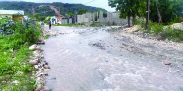 Ministerio de Agricultura pide RD$1,800 MM ante pérdidas causadas por huracán Melissa