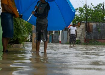 Se reportan 11 nuevos casos de leptospirosis en la última semana de octubre