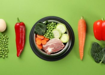 Hoy 16 de octubre se celebra el Día Mundial de la Alimentación