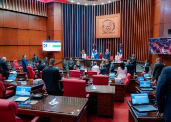 Senado sobre sentencia del TC: Preferencia sexual no debe ser plausible de prisión