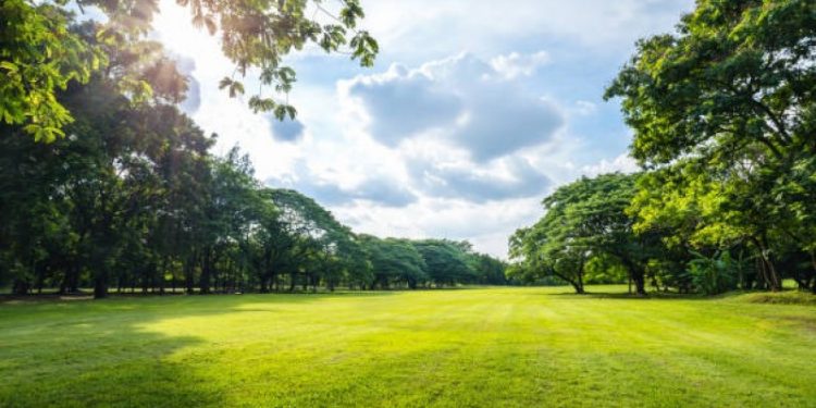 Día soleado y temperaturas frescas para este jueves de Navidad