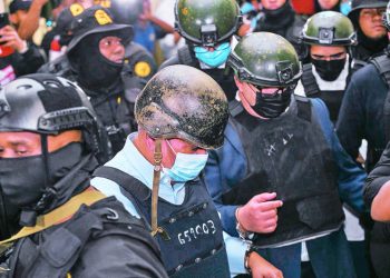 Senasa: 90 días de indagación que llevó al arresto de 10 personas