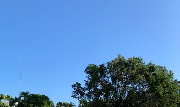 Último domingo del año será con un ambiente soleado y temperaturas frescas