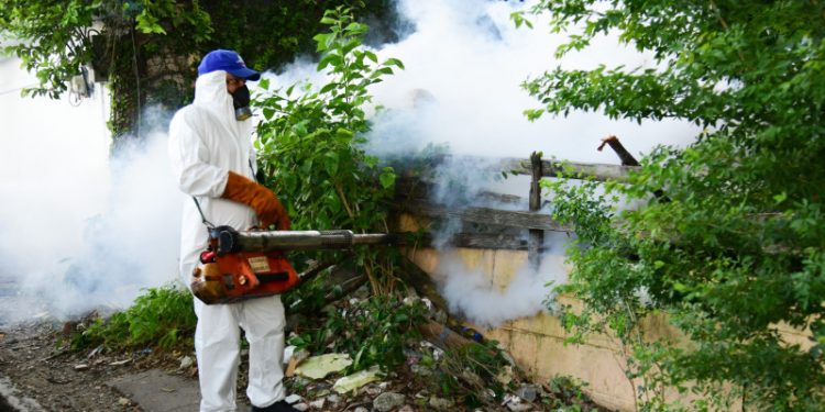 El 2025 termina sin ninguna muerte por dengue, afirma MSP