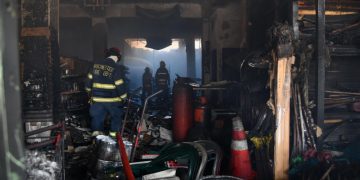 Bomberos han rescatado a 161 animales en situación de riesgo