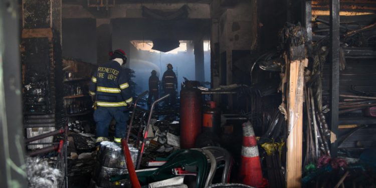 Bomberos han rescatado a 161 animales en situación de riesgo
