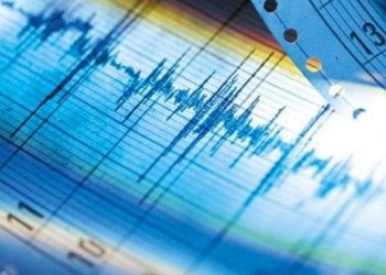 Un sismo de magnitud 5,6 sacude el sur de México