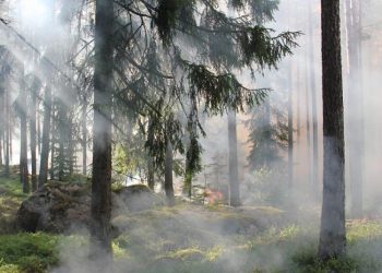 2025 ingresó a la lista que registra los años más calurosos