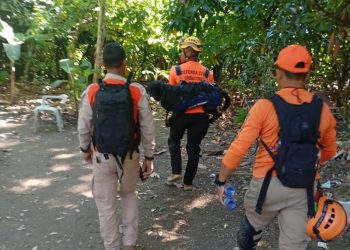 5 días sin la niña Brianna Genao: Usan cuatro perros en búsqueda