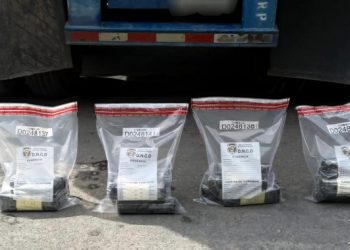 DNCD frustra envío de 18 paquetes de presunta cocaína con destino a Puerto Rico
