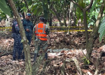 Autoridades investigan hallazgo de nueva evidencia en caso de niña Brianna