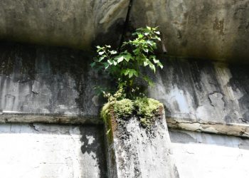 Obras Públicas abre licitación para evaluar situación de cuatro puentes