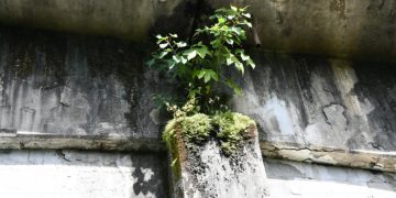 Obras Públicas abre licitación para evaluar situación de cuatro puentes