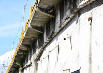 Osiris de León descarta peligro de colapso en el Puente Duarte