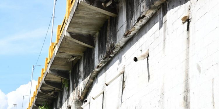 Osiris de León descarta peligro de colapso en el Puente Duarte