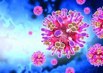 Emiten alertas sanitarias en aeropuertos de EE.UU. por el Virus Nipah