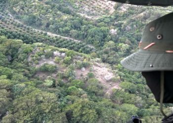 Desmantelan cultivo de marihuana en Peravia; ocupan 1,835 matas de hasta dos metros