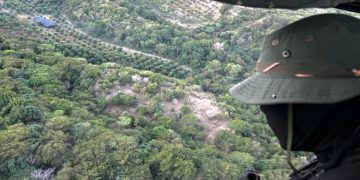 Desmantelan cultivo de marihuana en Peravia; ocupan 1,835 matas de hasta dos metros