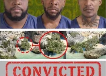 Condenan a tres dominicanos por tráfico de inmigrantes en Puerto Rico