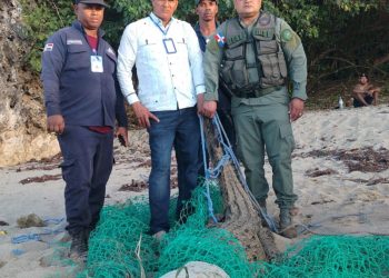 Cocodrilo que había escapado en Puerto Plata fue encontrado con vida