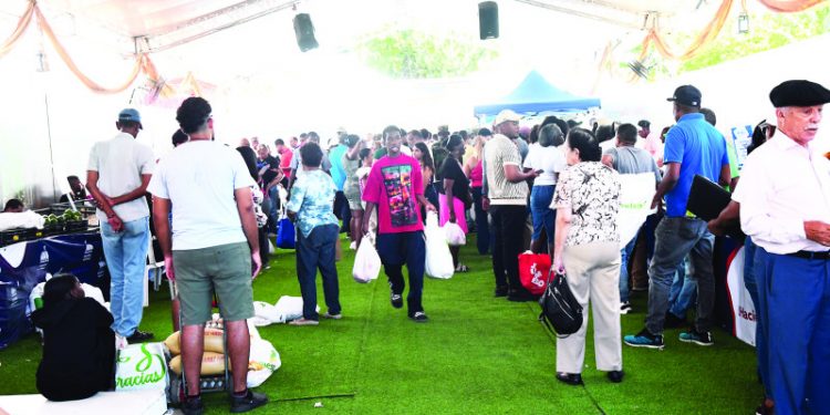 Bajos precios en Feria Agropecuaria atraen a cientos de personas