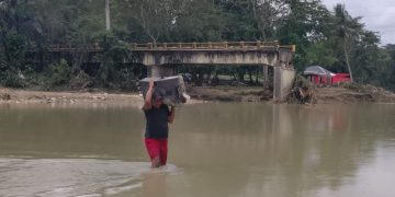 Borrador automático