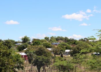Medio Ambiente anuncia tolerancia cero para las ocupaciones ilegales en Las Dunas