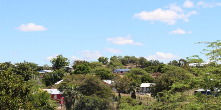 Medio Ambiente anuncia tolerancia cero para las ocupaciones ilegales en Las Dunas