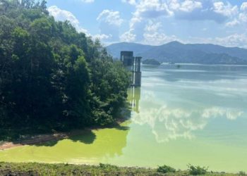 Lluvias ayudan a limpiar agua de la presa de Hatillo