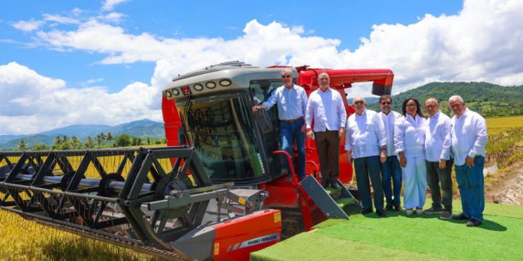 Ministro afirma país es el mayor productor de arroz del Caribe y Centroamérica