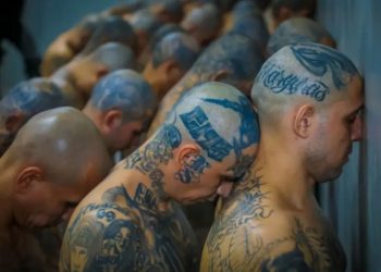 Procesan a 468 miembros de Mara Salvatrucha