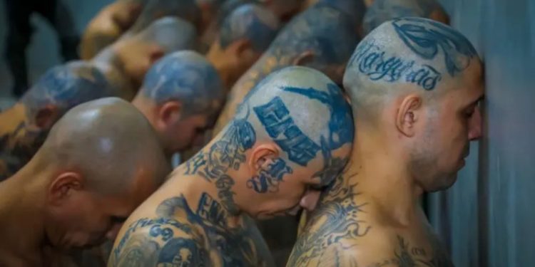 Procesan a 468 miembros de Mara Salvatrucha