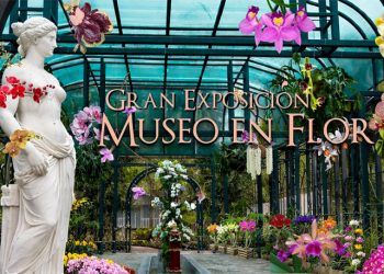 El Jardín Botánico de Santiago se convierte en galería viva con la V Feria de Orquídeas del Cibao