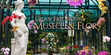 El Jardín Botánico de Santiago se convierte en galería viva con la V Feria de Orquídeas del Cibao