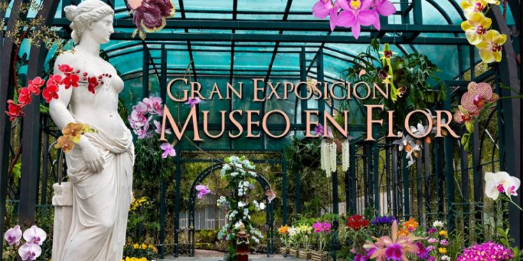 El Jardín Botánico de Santiago se convierte en galería viva con la V Feria de Orquídeas del Cibao