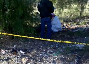 Más de 17,000 denuncias por violencia de género y 22 feminicidios en primer trimestre