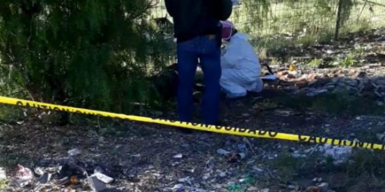 Más de 17,000 denuncias por violencia de género y 22 feminicidios en primer trimestre