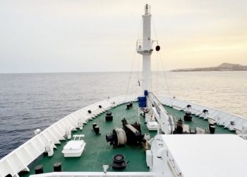 Expertos argentinos consideran "bastante controlado" el brote de hantavirus en crucero