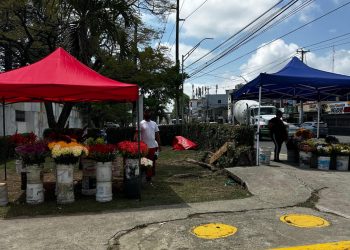 Alcaldía de Santiago reubicará floristeros del cementerio Ingenio Arriba para mejorar el tránsito y el orden