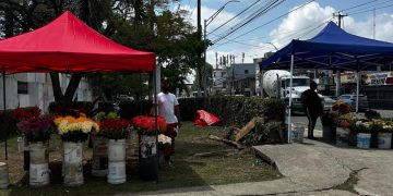 Alcaldía de Santiago reubicará floristeros del cementerio Ingenio Arriba para mejorar el tránsito y el orden