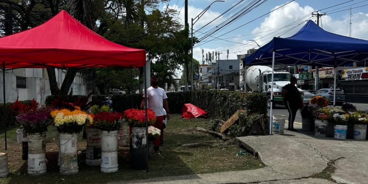 Alcaldía de Santiago reubicará floristeros del cementerio Ingenio Arriba para mejorar el tránsito y el orden